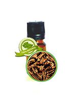 Clove Bud Essential Oil - Syzygium aromaticum - 5ml (1/6oz)