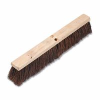 Push Broom Palmyra 24 in