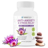Premium Anxiety and Stress Relief Supplement – Natural Formula Supports a Calm, Positive Mood – Stress Support, Anti-Anxiety, Mental Focus & Relaxation – Made in USA – 1 Month