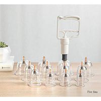 Professional 12 Piece Cupping Set