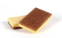 Full Circle In a Nutshell Walnut Scrubber Sponges, Non-Scratch, Set of 2 (Pack of 6)