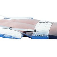 Lumbar Sacral Pelvic Traction Belt Replacement 890 (2X-Small)