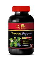 Immune System Vitamins for Women - Immune Support 1550 Mg Complex - Turmeric Curcumin Supplement - 1 Bottle 60 Capsules