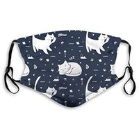 2 Pack Colorful Doodle Cute Cartoon Animal Kitty Cats 4 PM2.5 Non-Medical Ma-sk with Replaceable Filter Elements