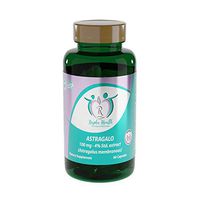 Astragalus, Immune Support, Host Defense, 60 Capsules 200mg (30 Serving), Vitamin, Astragalus Capsules, Astragalus Extract, by Rapha Health