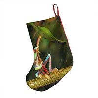 Frog Orange Leaf Funny Green Umbrella Fabulous Xmas Socks Hanging Decoration Candy Bag Party Holiday Christmas Santa Claus Home Decor Gift