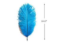 Ostrich Feathers, 14-17" Turquoise Blue Ostrich Drabs Feathers - 10 Pieces