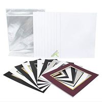 Golden State Art, Pack of 10 11x14 Double Picture Mats with White Core Bevel Cut for 8x10 Pictures + Backing + Bags, Mix Color