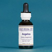 Angelica - 1 OZ