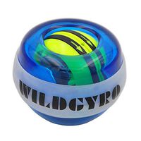 Wincspace Wrist Trainer Power Arm Strengthener Essential Gyroscopic Wrist and Forearm Exerciser Ball (Blue)