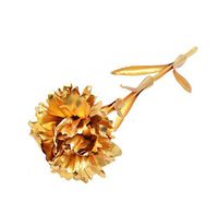 24K Gold Plated Foil Carnation Romantic Valentine Mother's Day Gifts for Mom Lover Wife Girl Friend (Rose Gold)