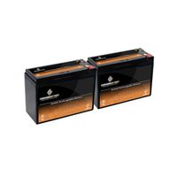 12V 10AH Sealed Lead Acid (SLA) Battery with T2 Terminals - 2PK
