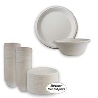 125 Compostable 9” Paper Plates Alternative and 125 Disposable 8 OZ Chili Bowls for hot Soup Eco Biodegradable