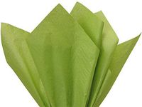 Oasis Green Tissue Paper 20x30" 480 Sheet Flat Ream - Wraps-CTFOA