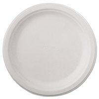 9 3/4" Round Plate (Pack of 125)