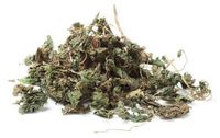 Florida Herbal Pharmacy, Nettle Leaf C/s, 4 Oz