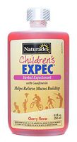 Naturade Childrens Expectorant Alcohol-Free Cough Syrup, 8.8 Ounce - 3 per case.
