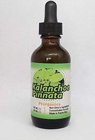 Kalanchoe Pinnata 2oz Tincture Prorganics