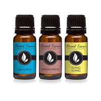 Trio (3) - Sandalwood, Eucalyptus & Ylang Ylang - Premium Fragrance Oil Trio - 10ML