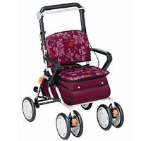 Standard Walkers Walker Elderly Portable Shopping Cart Walker for Disabled Elderly Children Travel Portable Wheelchair Stable Folding Lounge Chair (Color : Red, Size : 3754.577 cm)
