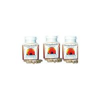 Lingzhi Reishi Ganoderma Lucidum Immunity Boost Course 300 Capsules, Thanyaporn