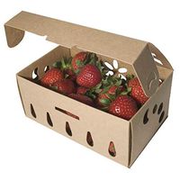 Biodegradable Recyclable Sustainable Organic Produce Basket Container (200 Quart/case)