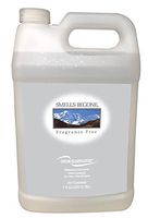 Smells Begone Air Freshener Spray - Odor Eliminator - Eliminates Odors from Trash Cans, Smoke, Cars, Pets and Boats - Non-Toxic and Non-Staining- Fragrance Free (1 Gallon)