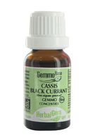Black Current - Herbal Gem (Small)