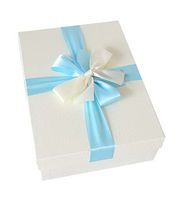Gentle Meow Simple Box with Bowknot Rectangle Large Birthday Box, White