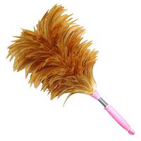 Mini Feather Dusters Washable Hand Duster Suitable For Domestic And Home Office Professional Cleaning, Attracts And Holds Dust