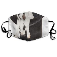 Face Mask White Hat Funny Rabbit Great Cycling Half Face Earloop Ski Mask for Women