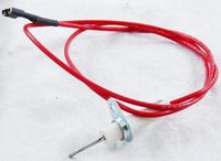 Lochinvar A.O. Smith 100109827 Pilot