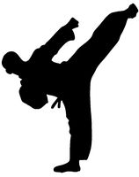 hBARSCI Karate Kick Vinyl Decal - 5 Inches - for Cars, Trucks, Windows, Laptops, Tablets, Outdoor-Grade 2.5mil Thick Vinyl - Black