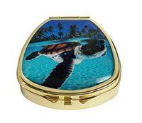 Youroom Custom Stainless Steel Gold Fan Shaped Glass Pill Case Medicine Vitamin Manager Decorative Box (A Baby Green Sea Turtle)