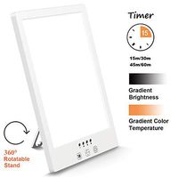 Comenzar Sun Lamp LED White Warm Lamp UV Free 2000-12000 Lux Gradient Brightness Timer Function and Touch Control for Home Office Use