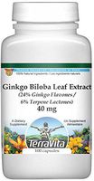 Ginkgo Biloba Leaf Extract (24% Ginkgo Flavones, 6% Terpene Lactones) - 40 mg (100 Capsules, ZIN: 514347) - 3 Pack