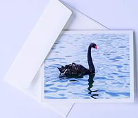 Bird Note cards Original Elegant Photographic Textured White Blank 4.25"x 5.50" Boxed Set 8 W/Matching Envelopes In Plastic Jacket Thank You Invitations Birthdays Greetings Just Because