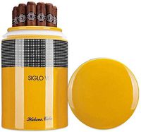 XUEJIN YSYYSH Cigar Box Cigar Travel Humidor - Holds Multiple Cigars, Popular Ceramics Cigar Humidor Case Cigar Storage