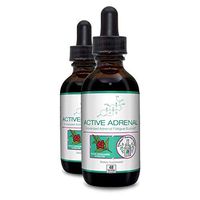 Active Adrenal - Advanced Adrenal Fatigue Supplement - All Natural Liquid Formula for 2X Absorption - Ashwagandha, B-Vitamins Magnesium and More