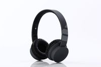 LORELEI EP-19 Wied Headphones for Children Girls Boys Teens with Mic and 3.5mm Socket Compatible Cellphone ipad comptuer MP3/4 (Black)