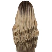 Meidexian888 Curly Long Hair Wigs,Women's Fashion Front lace Wig Gray Synthetic Hair Long Wigs Wave Curly Wig (Gray)