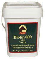 KAECO GROUP INC BIOTIN 800 Powder 6LB D/S
