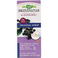 Natures Way, Sambucus Syrup Kids, 4 Fl Oz