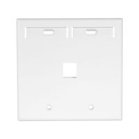 Leviton 42080-1WP 1-Port Dual Gang QuickPort Wallplate with ID Windows, White