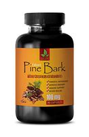 Brain Booster Natural - Pine BARK Extract 100 MG - Powerful ANTIOXIDANT - Pine nut Oil Siberian - 1 Bottle 90 Capsules