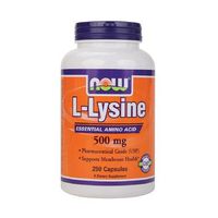 NOW Foods L-Lysine, 500mg, Capsules 250 ea