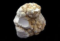 Large Skull Carving Raw White Howlite 6" Size 1.8 Kilo