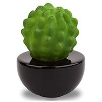 Lively Breeze Frank Cactus, Non-Electric Ceramic Diffusers for Essential Oils and Aromatherapy Fragrance, White Ceramic Diffusers in Car or Desk Office Decor and Small Bathroom at Home, Black vase