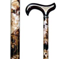 Vista International Sandy's Collection/Dog Stick Walking Poles, Multicolor