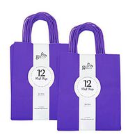 24CT Medium Purple Biodegradable, Food Safe Ink & Paper, Premium Quality Paper (Sturdy & Thicker), Kraft Bag with Colored Sturdy Handles (Medium, Purple)